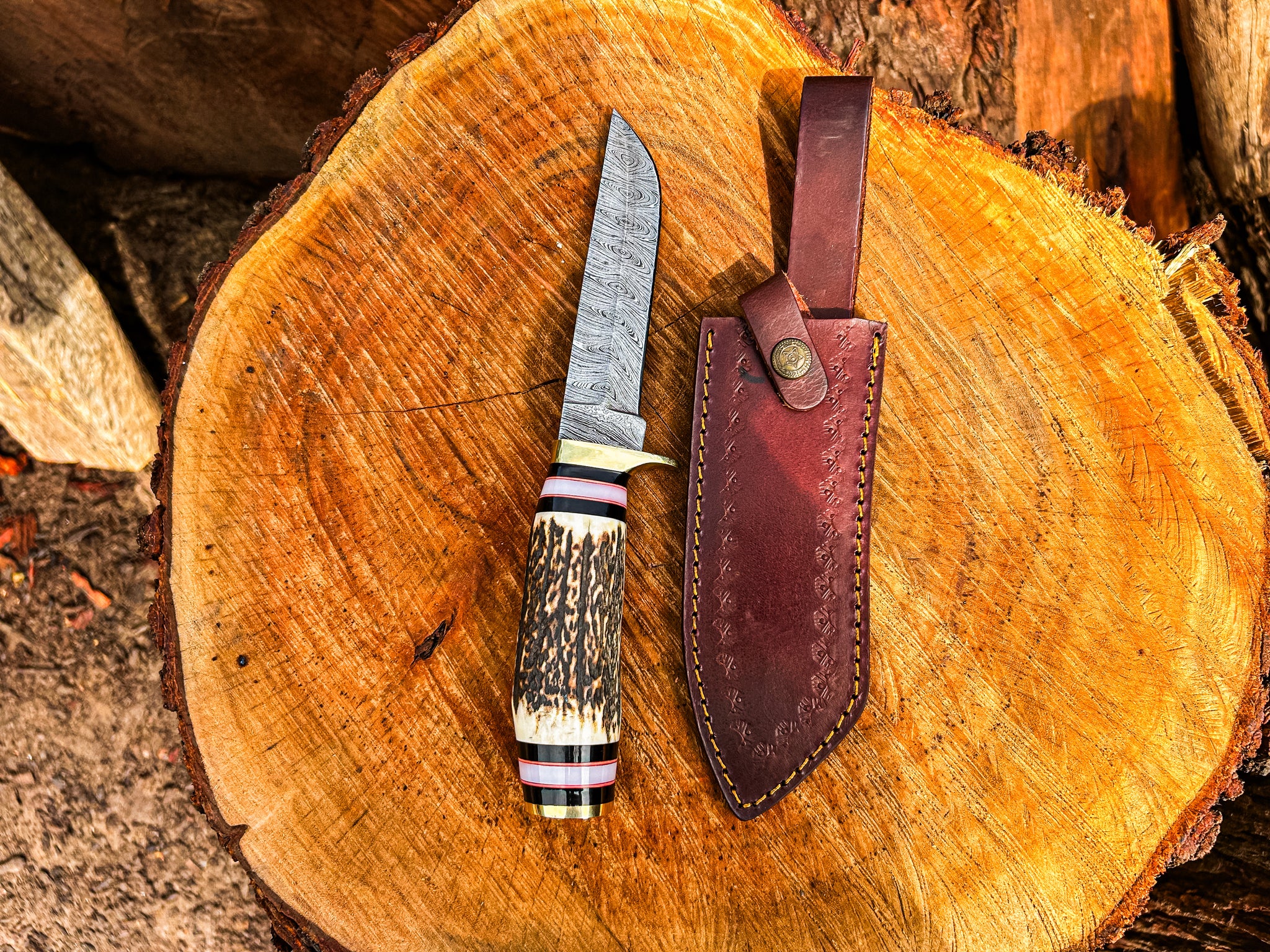 Damascus Steel Blade and Stag Handle Hunting knife with Leather Sheath