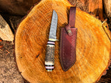 Damascus Steel Blade and Stag Handle Hunting knife with Leather Sheath