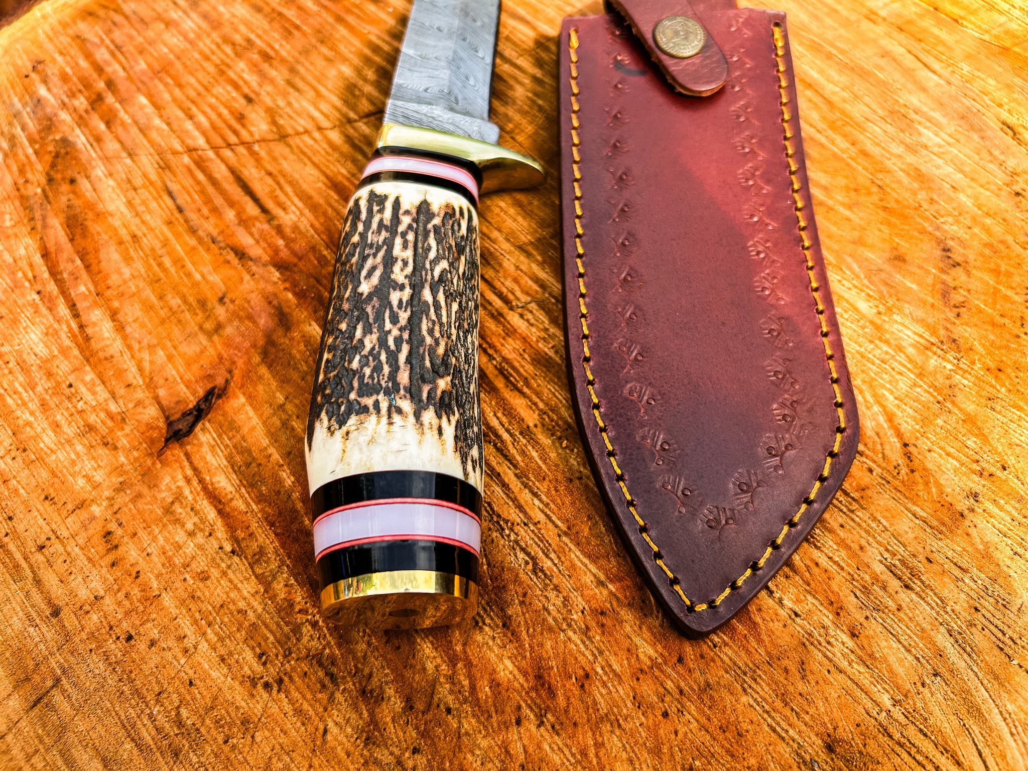 Damascus Steel Blade and Stag Handle Hunting knife with Leather Sheath