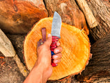 Handmade Skinner Knife Damascus Steel Fixed Blade Pocket Knife with Red & Blue Grip