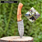 Damascus Hunting Knife with Smooth Finish Olive Wood Handle